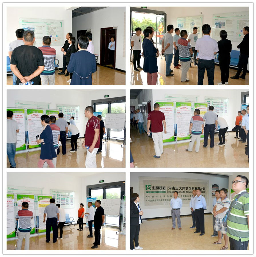 中原邦农2018年度《裂变式团队扩建》钻研会第三场专场聚会乐成召开-公司新闻-河南邦农饲料有限公司