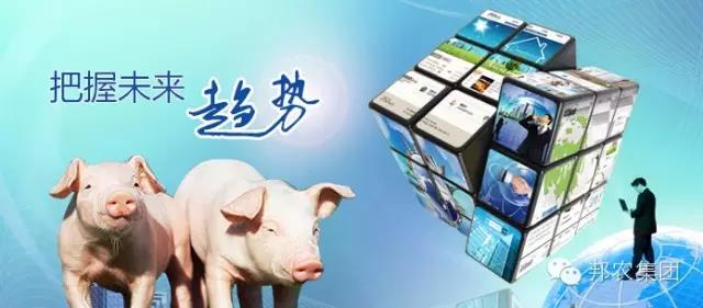 【中原邦农】未来3~5年，，谁还在养猪，，谁还能养猪？？
