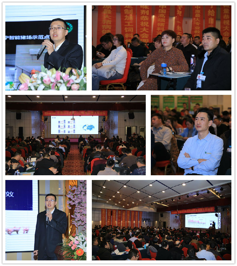 拥抱2019，，，，，梦想驱动——祝贺中原邦农集团2018年度销售事情聚会胜利召开-公司新闻-河南邦农饲料有限公司