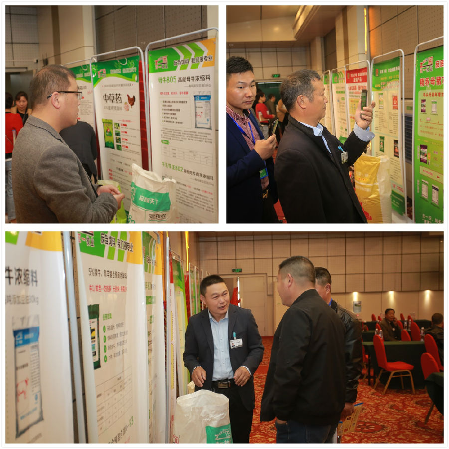 增添主干道——中原邦农2019年第一季度销售聚会精彩回首！-公司新闻-河南邦农饲料有限公司
