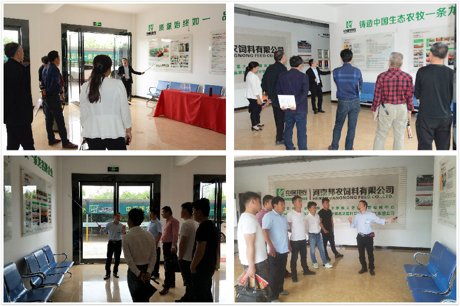 中原邦农2019第三期《“非瘟”肆虐下——饲料销售的突围之路》钻研会精彩回首-公司新闻-河南邦农饲料有限公司