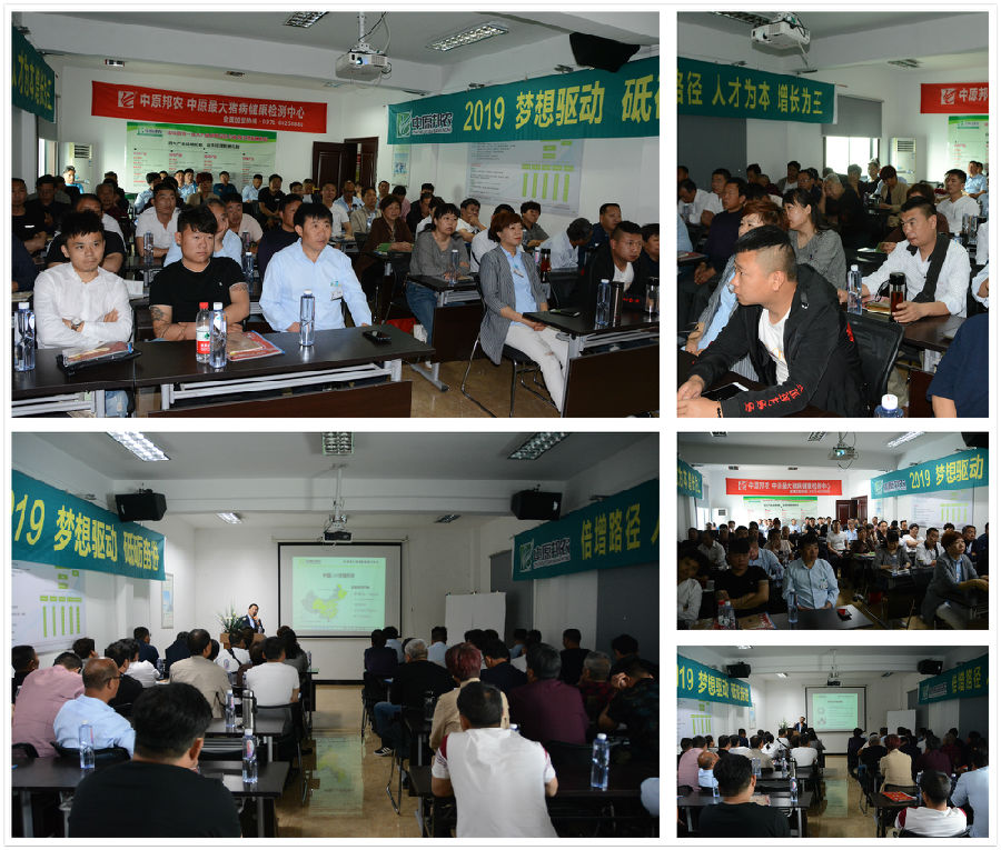 中原邦农2019第三期《“非瘟”肆虐下——饲料销售的突围之路》钻研会精彩回首-公司新闻-河南邦农饲料有限公司