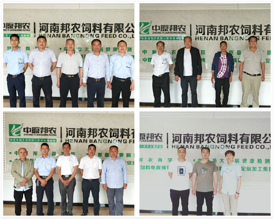 中原邦农2019第四期《“非瘟”肆虐下——饲料销售的突围之路》钻研会精彩回首-公司新闻-河南邦农饲料有限公司