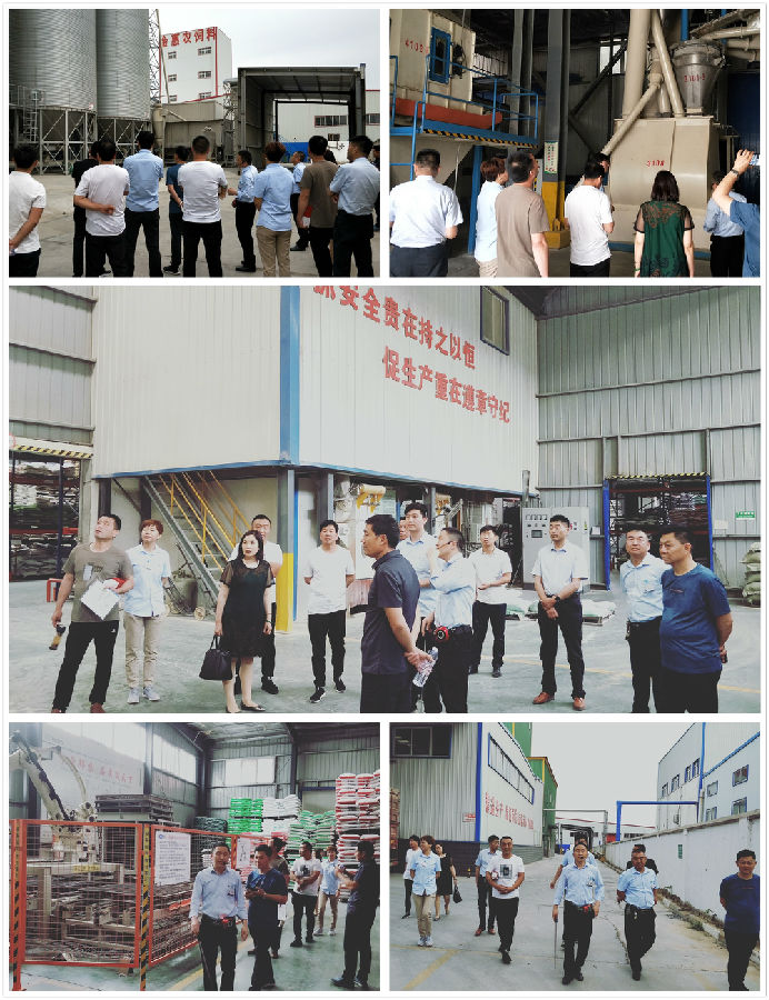 中原邦农2019第四期《“非瘟”肆虐下——饲料销售的突围之路》钻研会精彩回首-公司新闻-河南邦农饲料有限公司