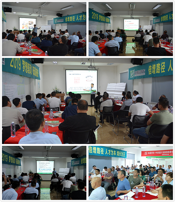 中原邦农2019第四期《“非瘟”肆虐下——饲料销售的突围之路》钻研会精彩回首-公司新闻-河南邦农饲料有限公司